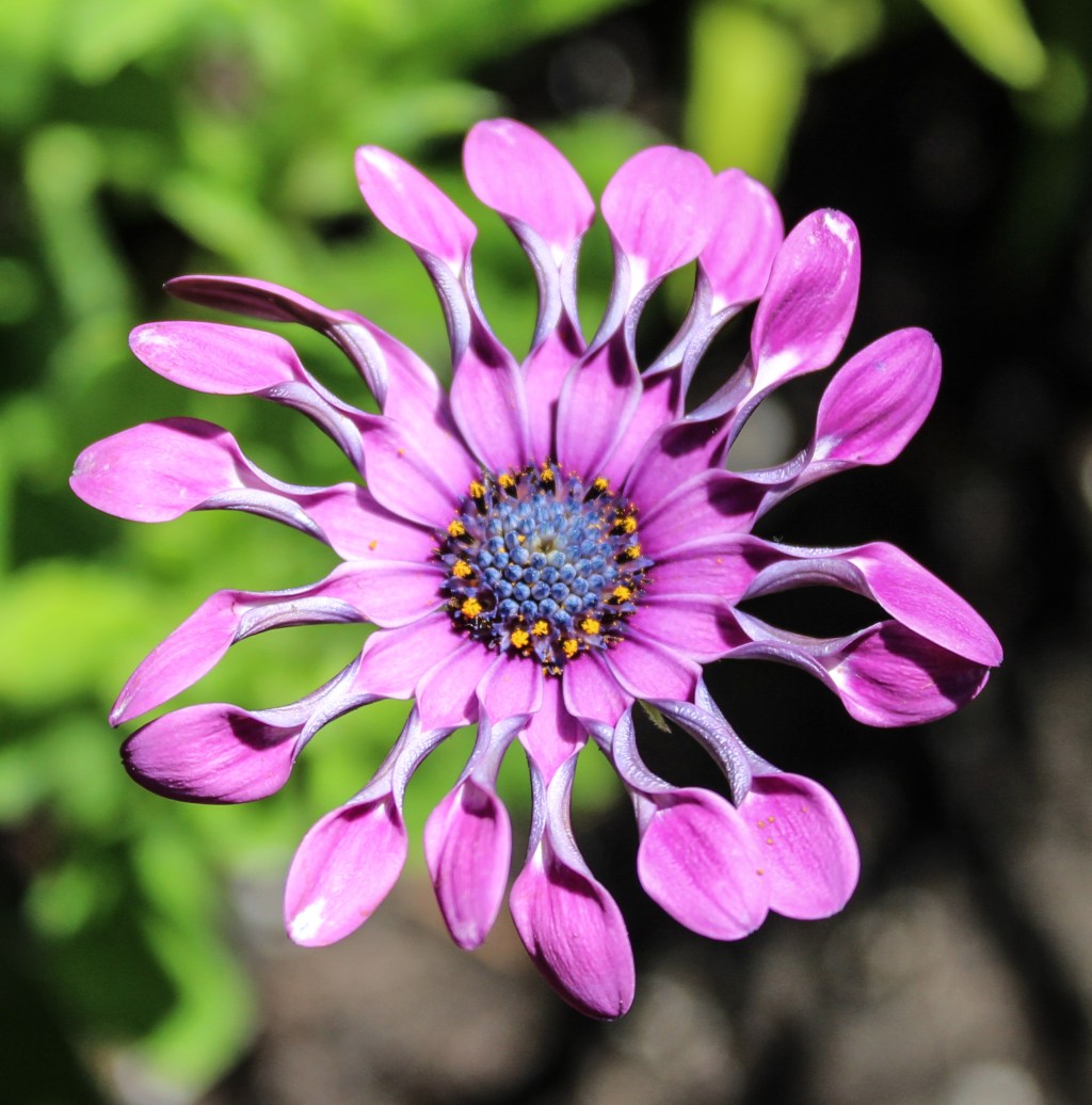 Testing and setting up&nbsp;site