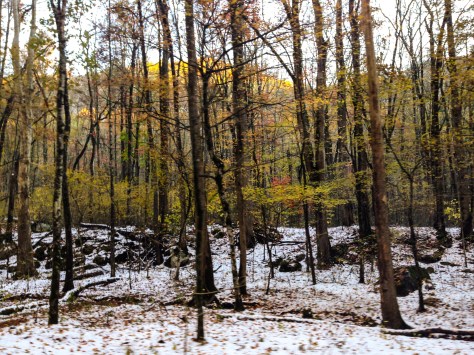 IMG_5339 - Copy_edited