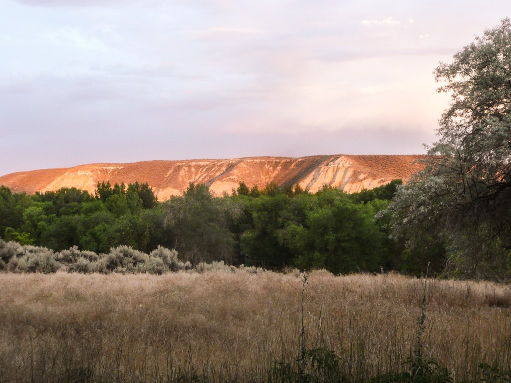 An Alaskan Tiny House (Part&nbsp;3)