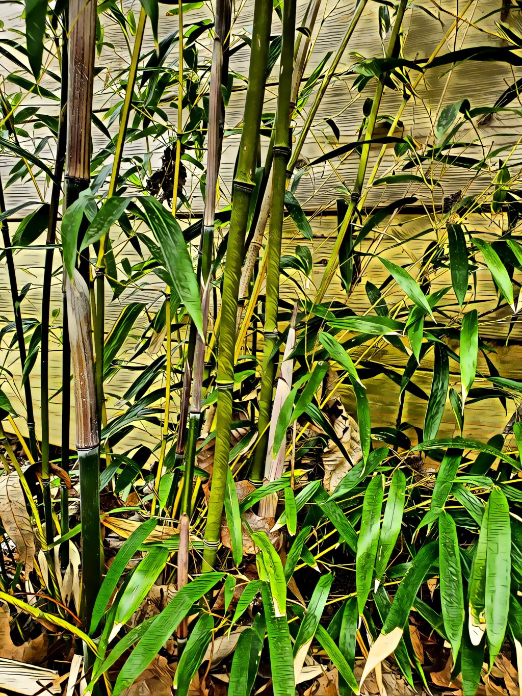 The Story by Umair&nbsp;Haque